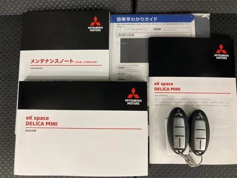 Mitsubishi Delica Mini