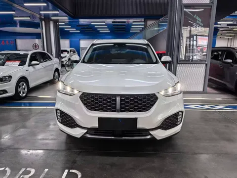 Wey VV6