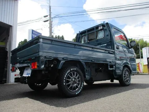 Suzuki Carry Track