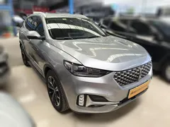 Wey VV6
