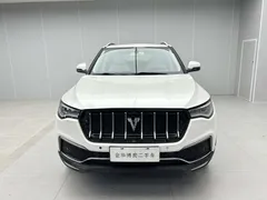 Zotye T700