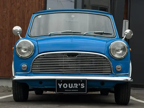 Rover Mini