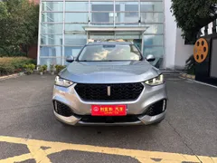 Wey VV6