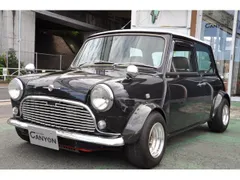 Rover Mini