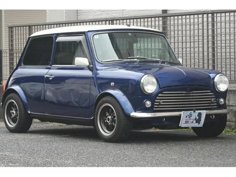 Rover Mini