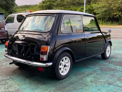 Rover Mini