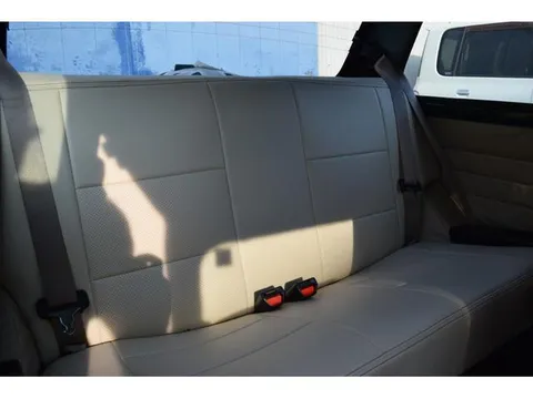 Rover Mini
