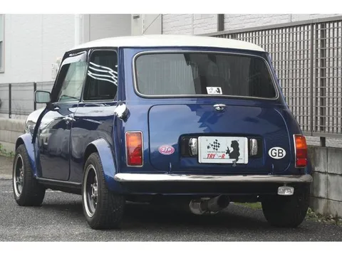 Rover Mini