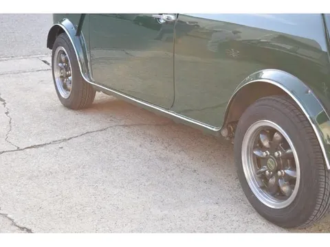 Rover Mini