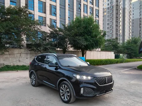 Wey VV6