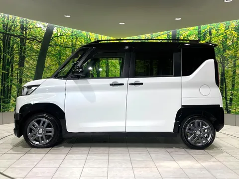Mitsubishi Delica Mini