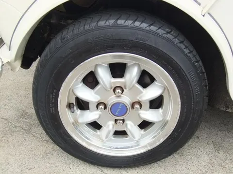 Rover Mini