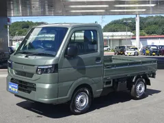 Suzuki Carry Track
