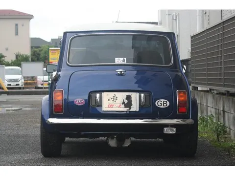 Rover Mini