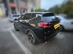 Wey VV6