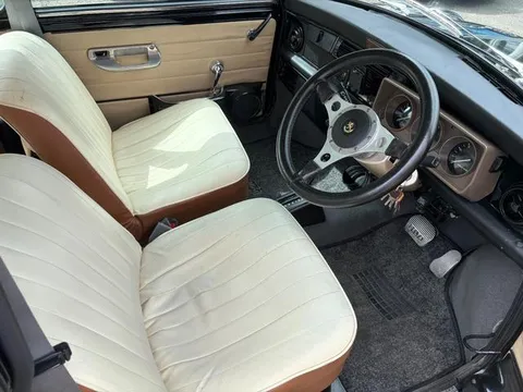 Rover Mini