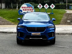 Wey VV7
