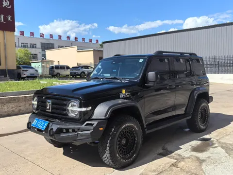 Tank 300