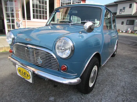 Rover Mini