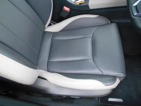Subaru Levorg Layback