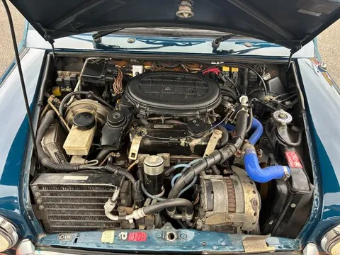 Rover Mini