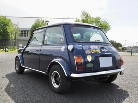 Rover Mini