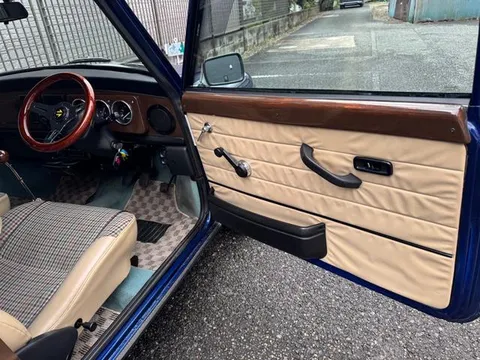 Rover Mini