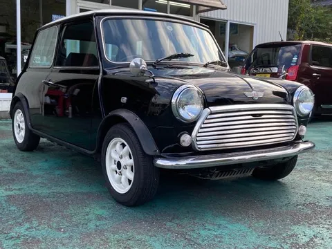 Rover Mini
