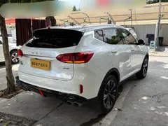 Wey VV6