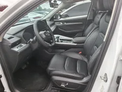 Geely Preface (Xingrui)
