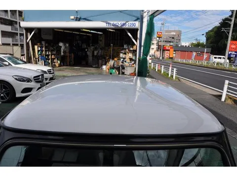 Rover Mini