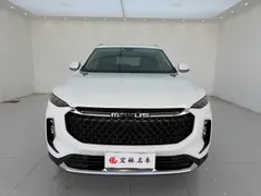 Maxus D60