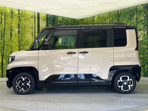 Mitsubishi Delica Mini