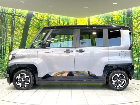 Mitsubishi Delica Mini