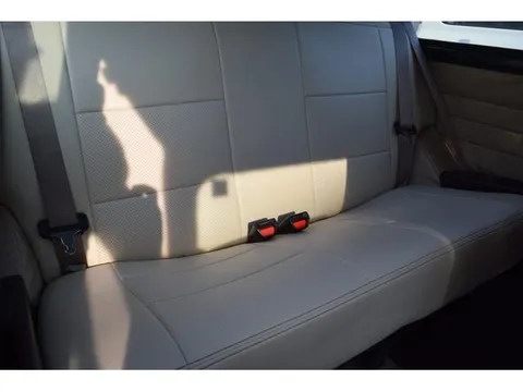 Rover Mini