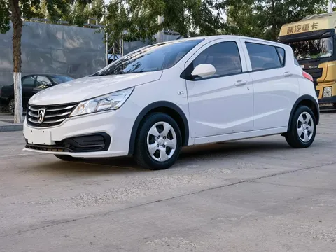 Baojun 310