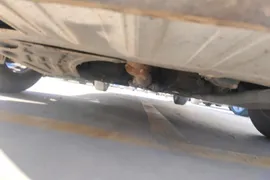 Chevrolet Cavalier