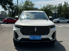 Bestune T99
