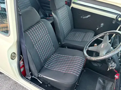 Rover Mini