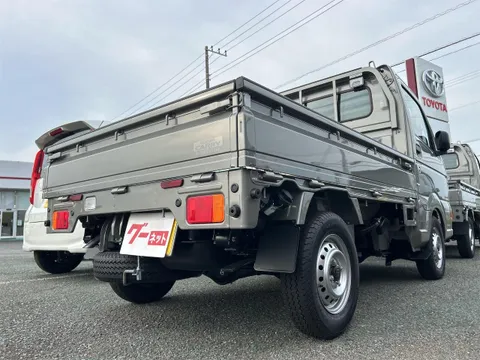 Suzuki Carry Track