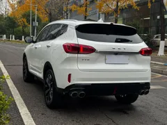 Wey VV6
