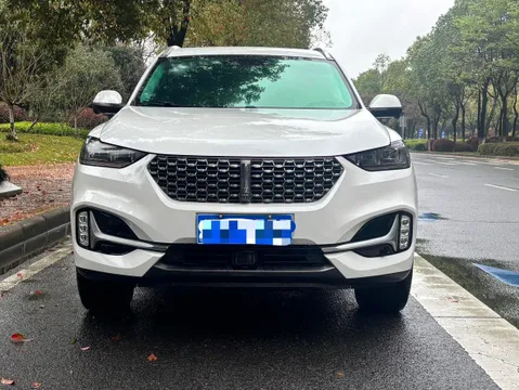 Wey VV6