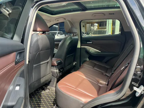 Wey VV6