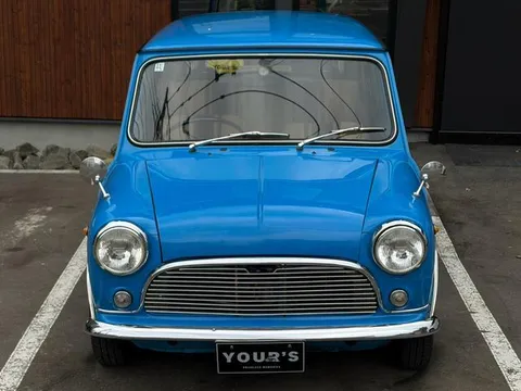 Rover Mini