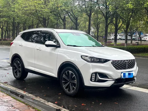 Wey VV6