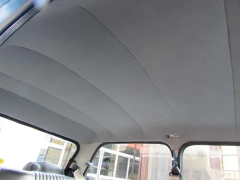Rover Mini