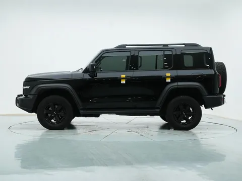 Tank 300