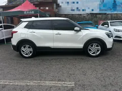 Venucia T60