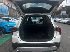 Venucia T60