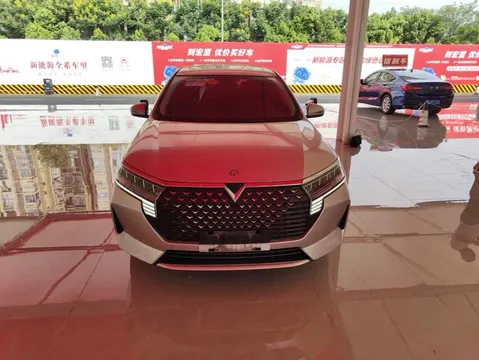 Venucia D60